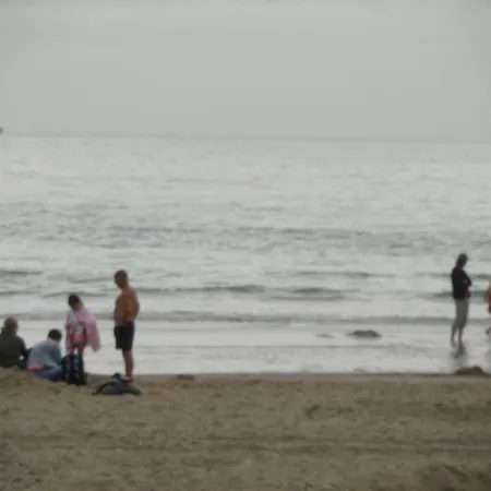 Strandslag Zanddijk 229 Aan Zee Apartment *